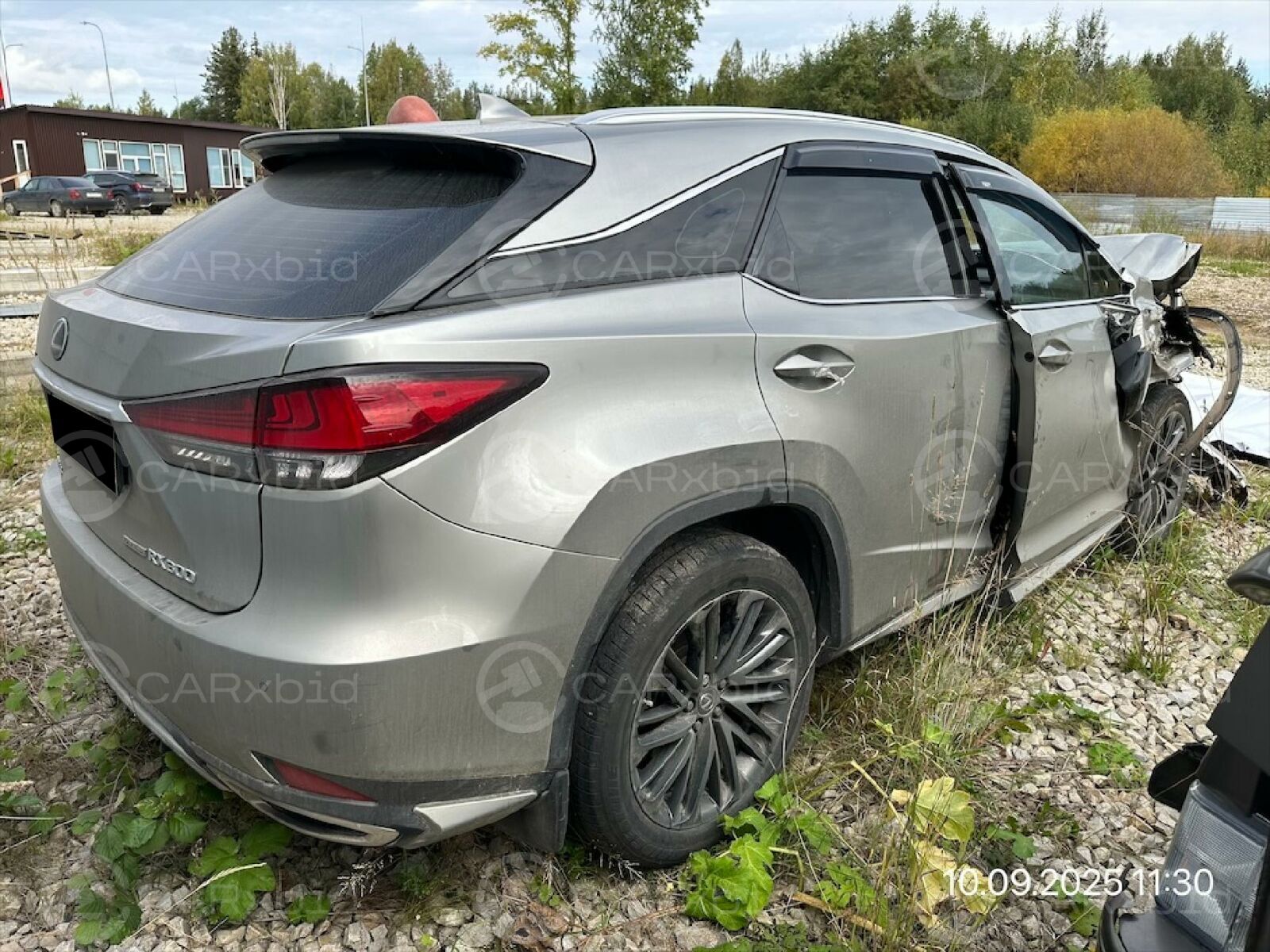 Lexus RX 2022