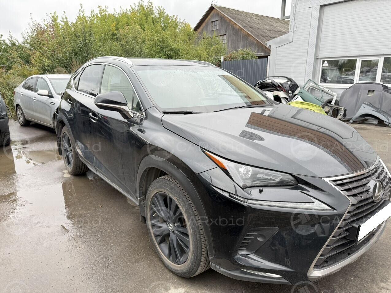 Lexus NX 2018