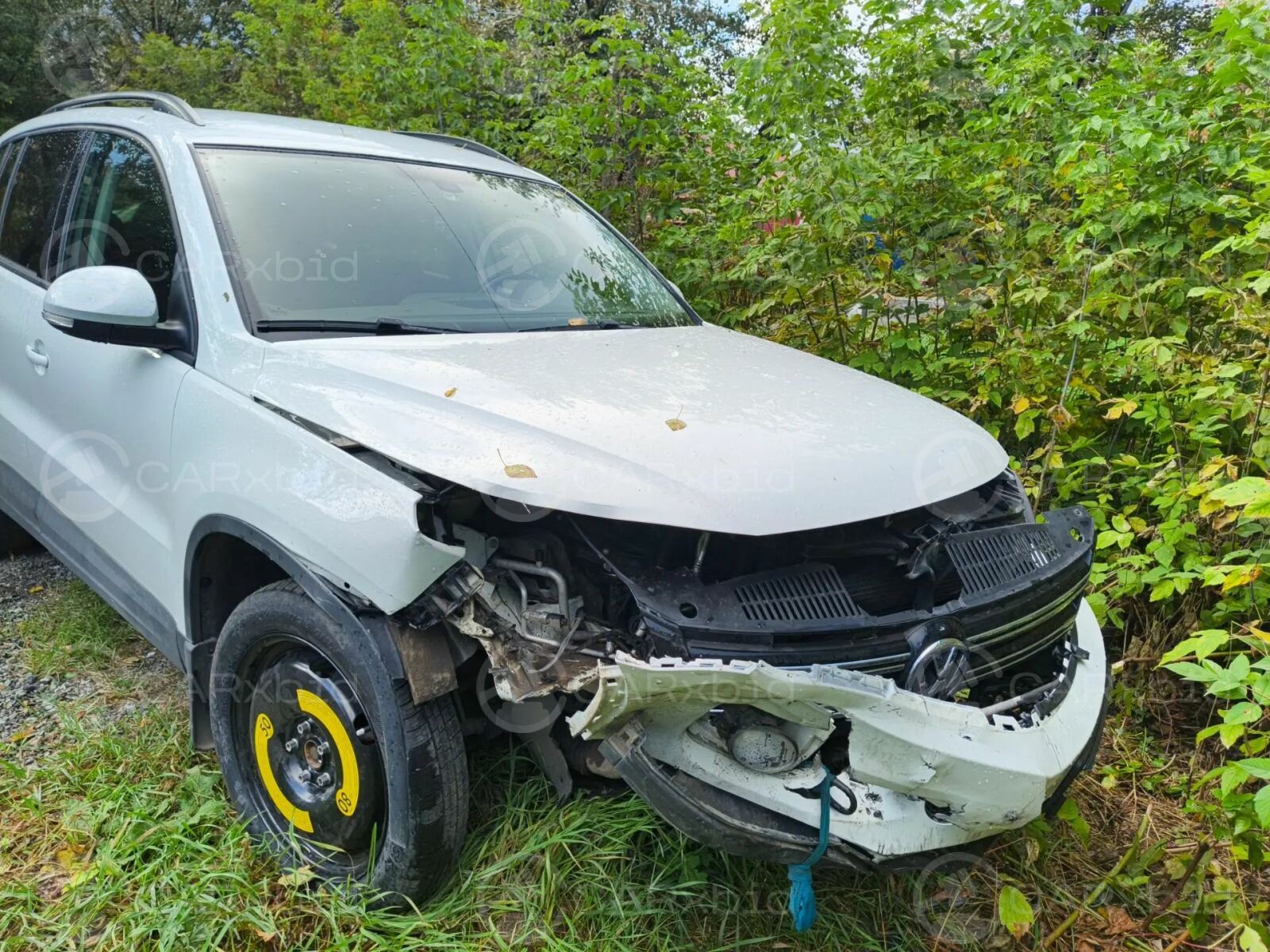 Volkswagen Tiguan 2016