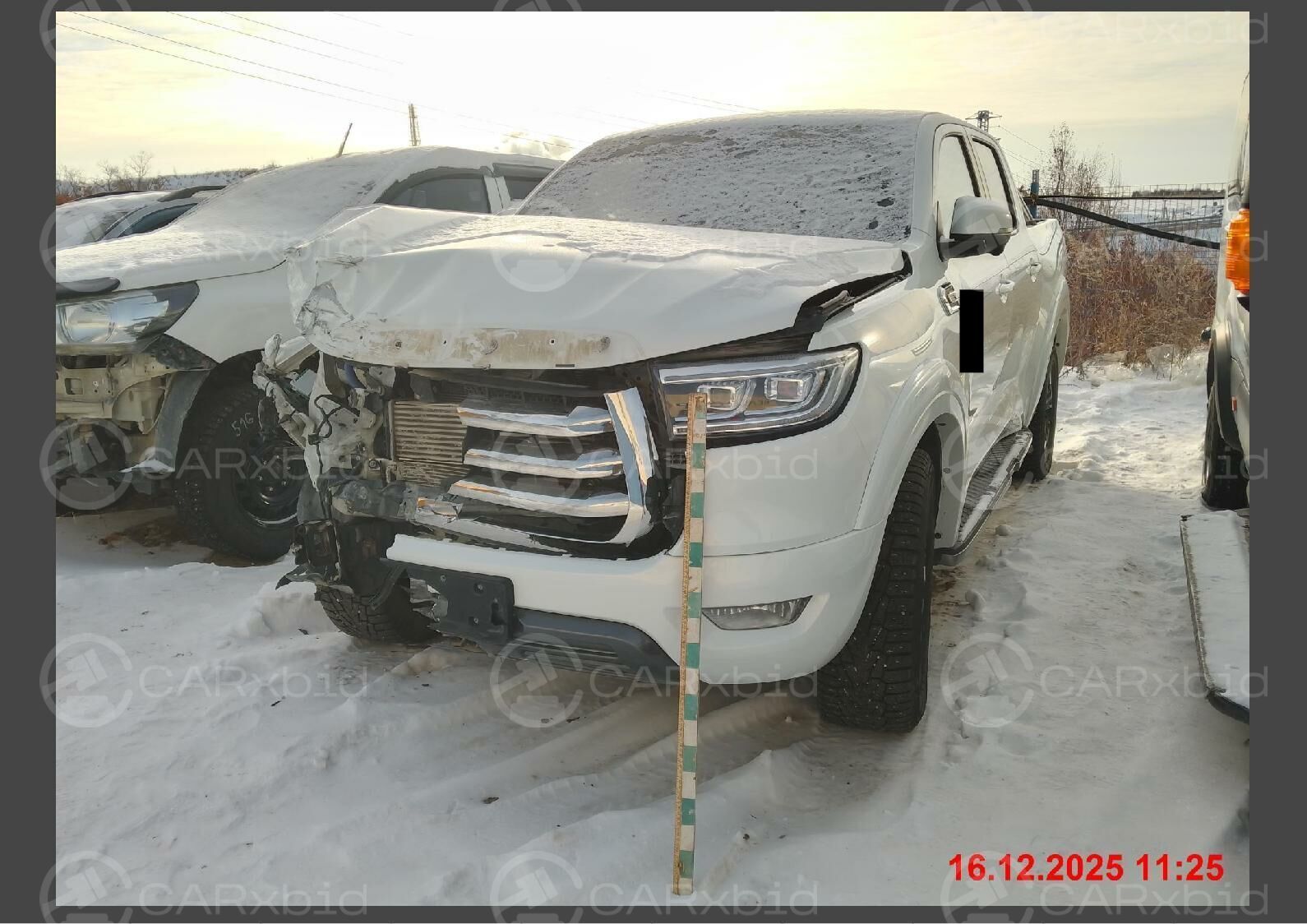 Great Wall Poer 2024