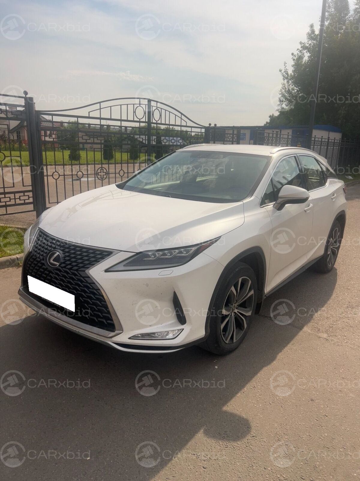 Lexus RX 2021