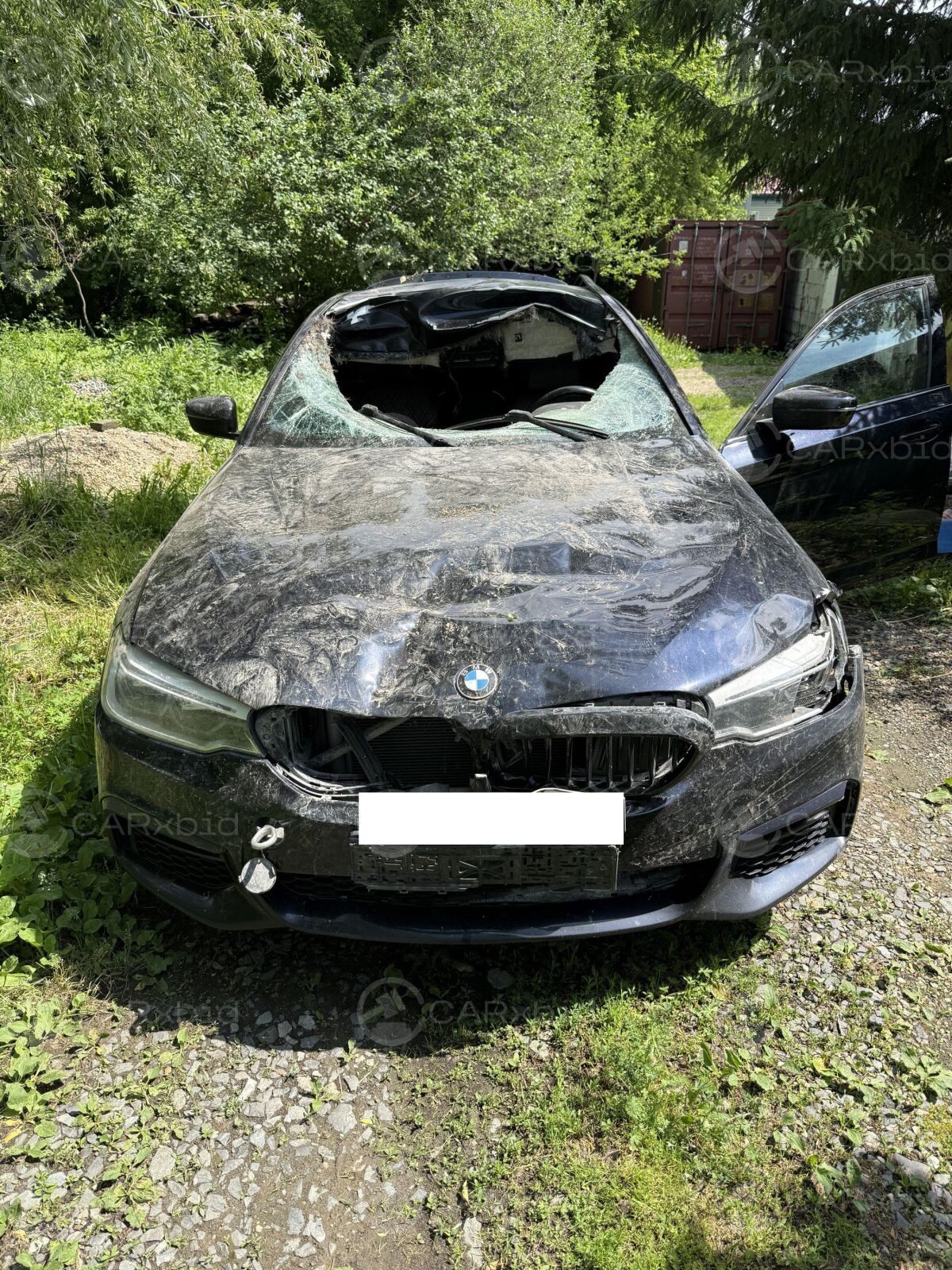 BMW 5 серия 2019