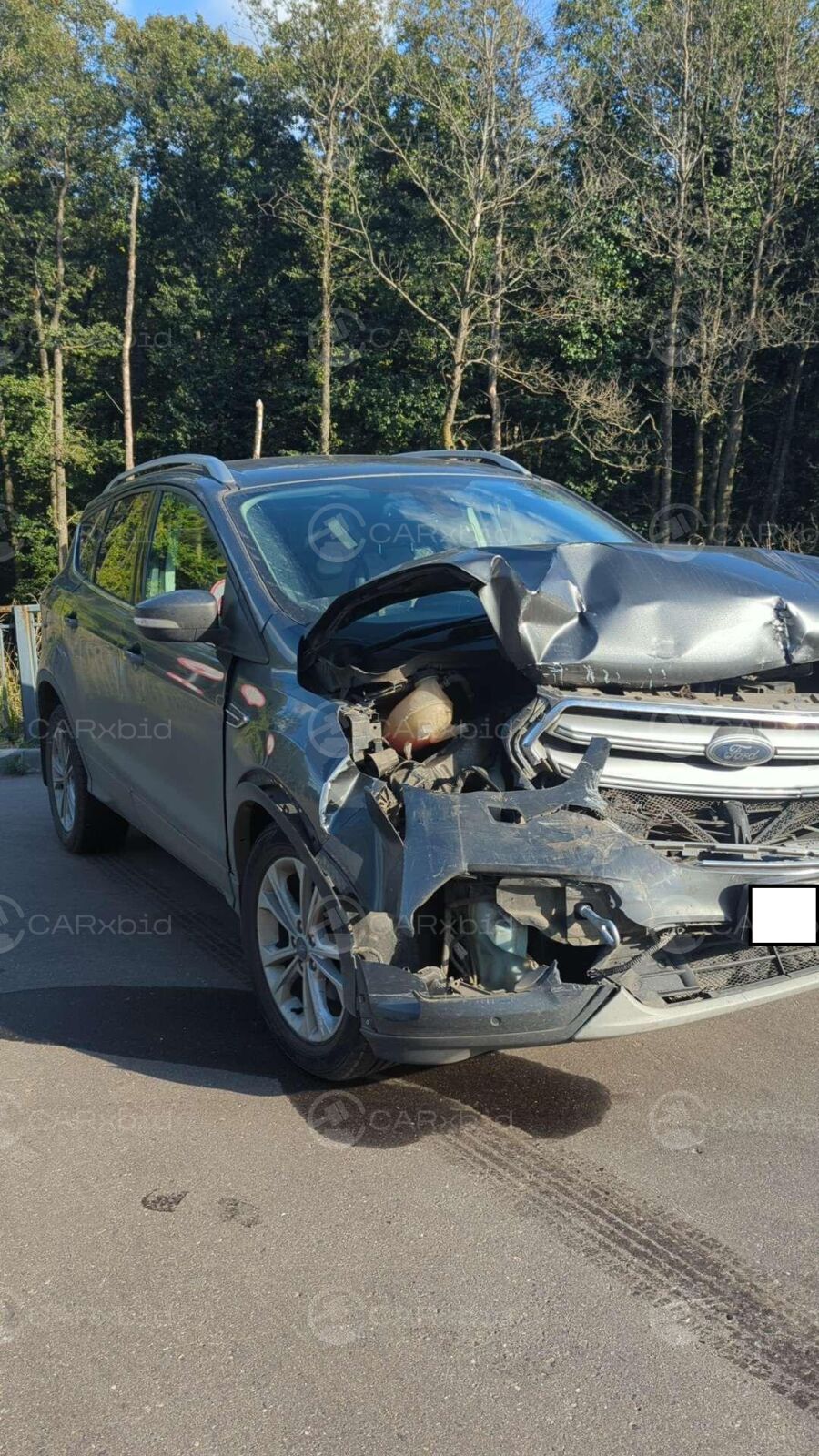 Ford Kuga 2018