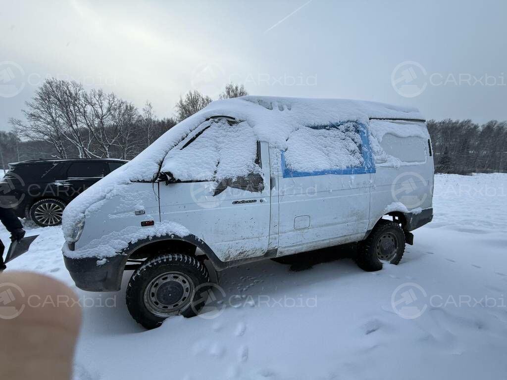 Соболь Соболь 2024