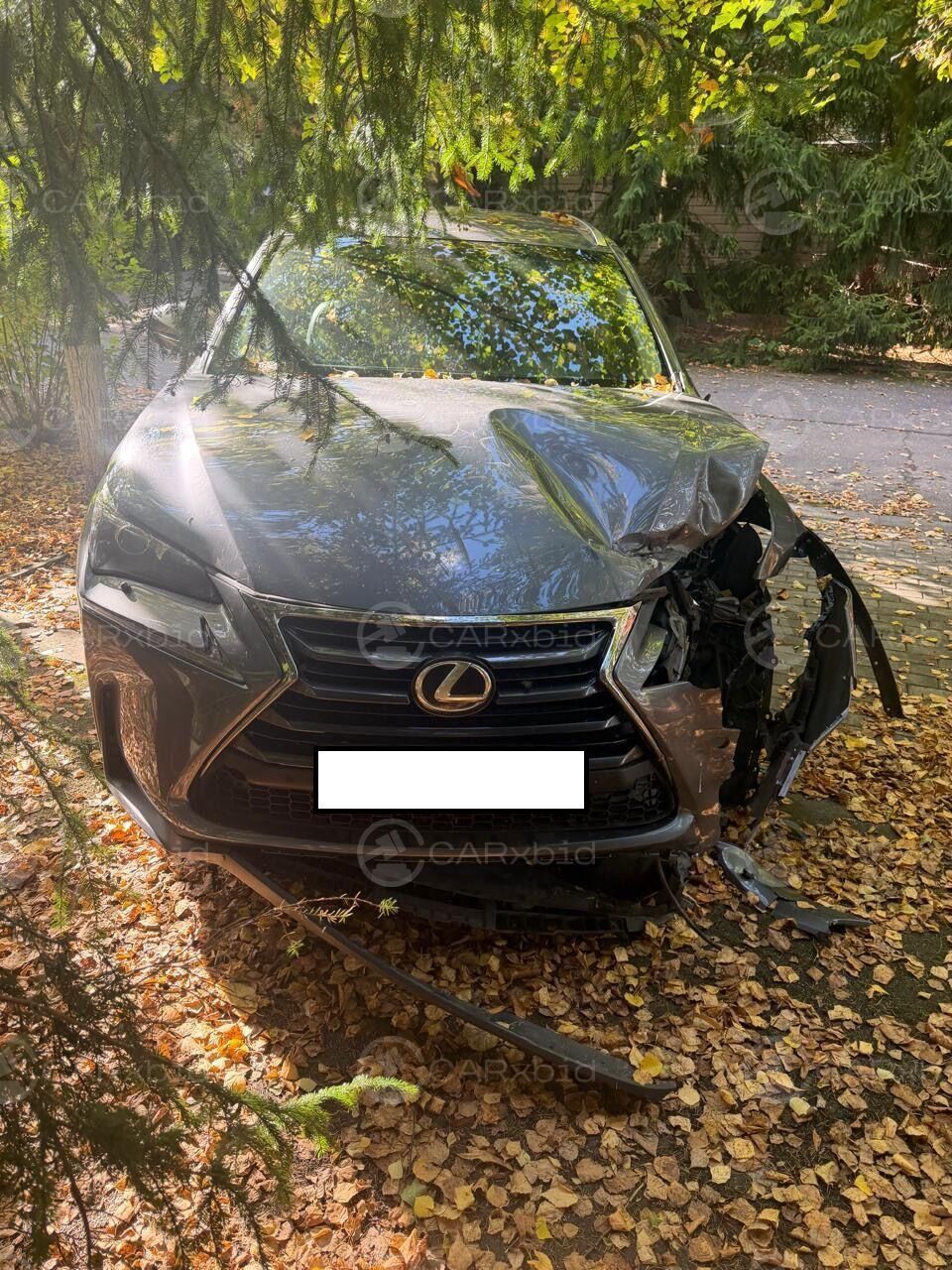 Lexus NX 2016