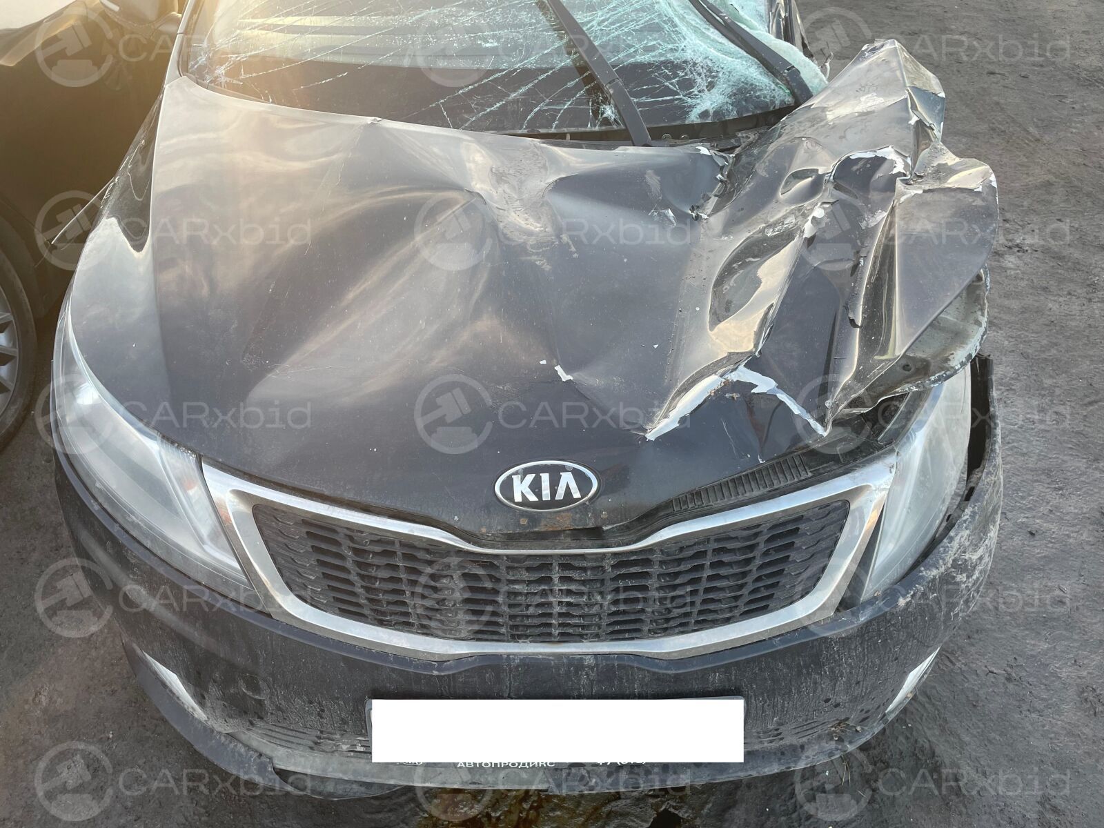 Kia Rio 2014