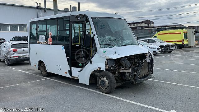 ГАЗ GAZELLE NEX 2023