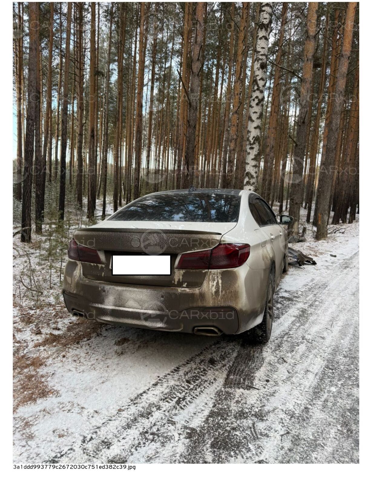 BMW 5 серия 2020