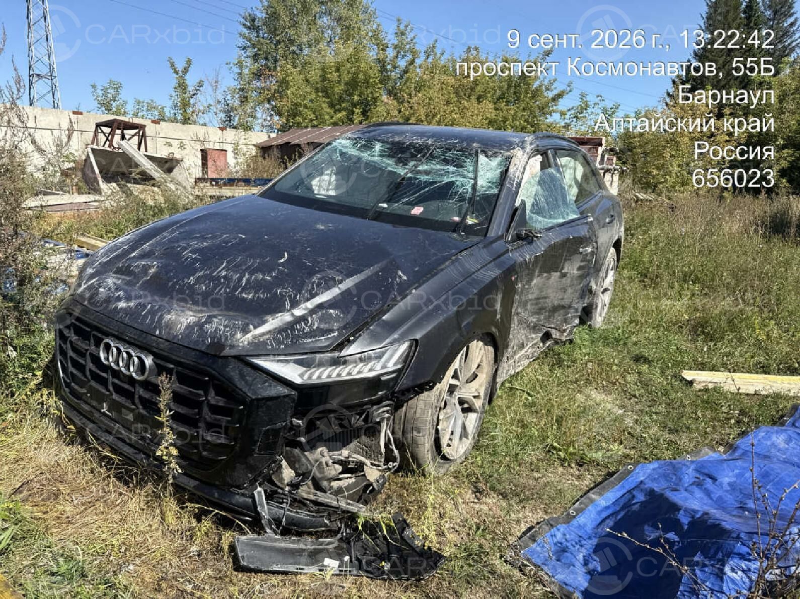 Audi RS Q8 2019